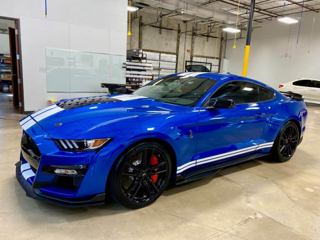 Featured Install: Ford Mustang Shelby GT500 - Austin's Premier Clear ...